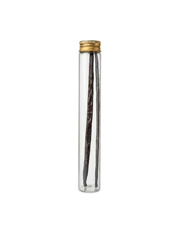 VANIGLIA DI BALI BACCHE - Extra Long 20cm