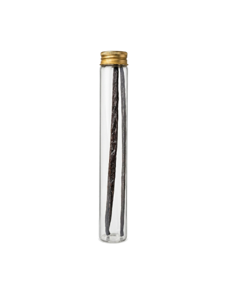 VANIGLIA DI BALI BACCHE - Extra Long 20cm