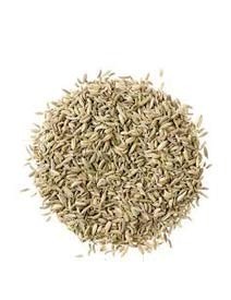 Fennel