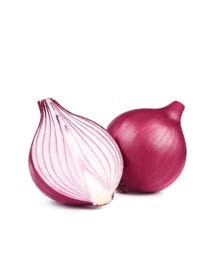 Cipolla