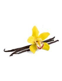 Bali Vanilla